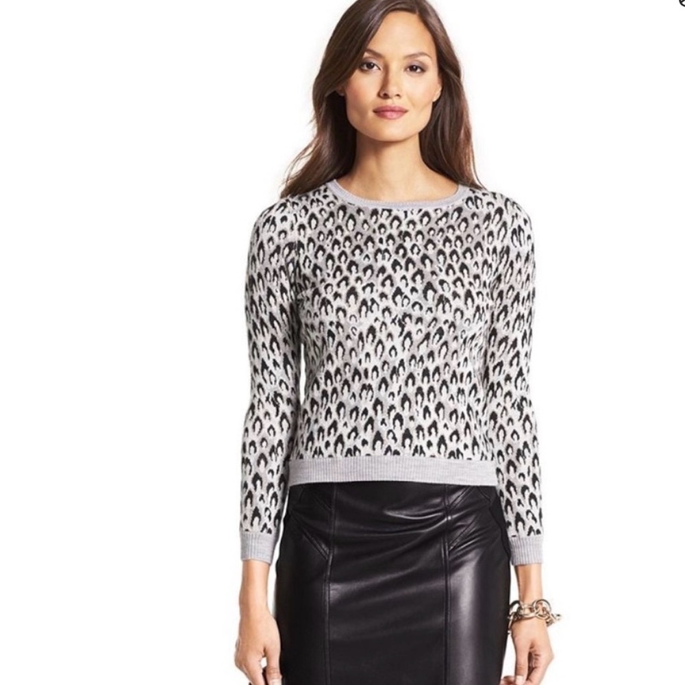 Diane Von Furstenberg Leopard Print Crewneck Sweater